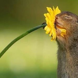 Meet your Posher, Vicky